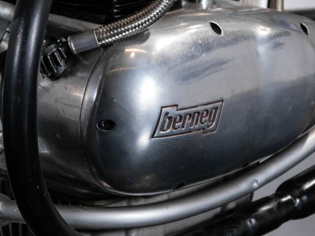 Berneg Fario 175