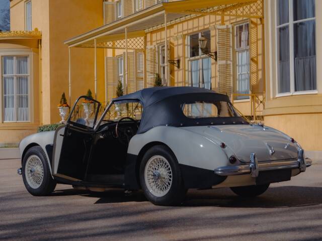 Austin-Healey 100/6 (BN4)