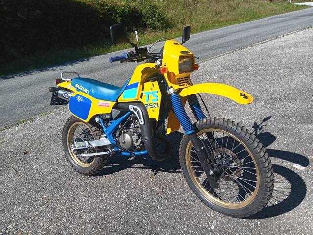 Suzuki TS 250X