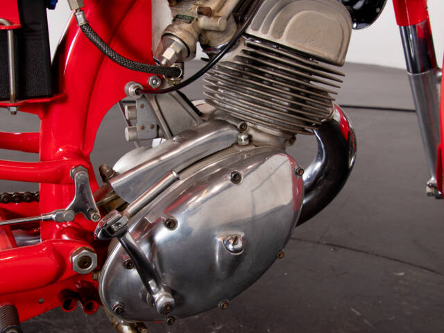 Benelli Leoncino Bassotto