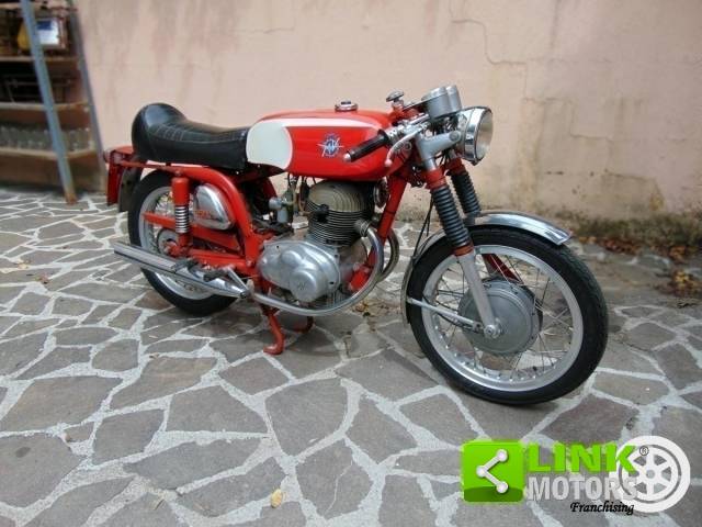 Bild 1/8 von MV Agusta DUMMY (1972)