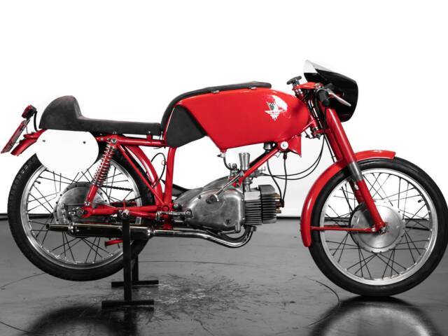 Rumi Junior Gentleman 125