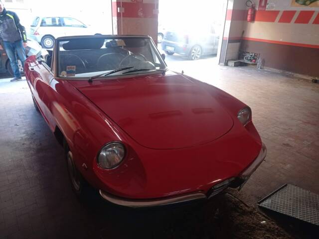 Image 1/47 of Alfa Romeo 1300 Spider Junior (1969)