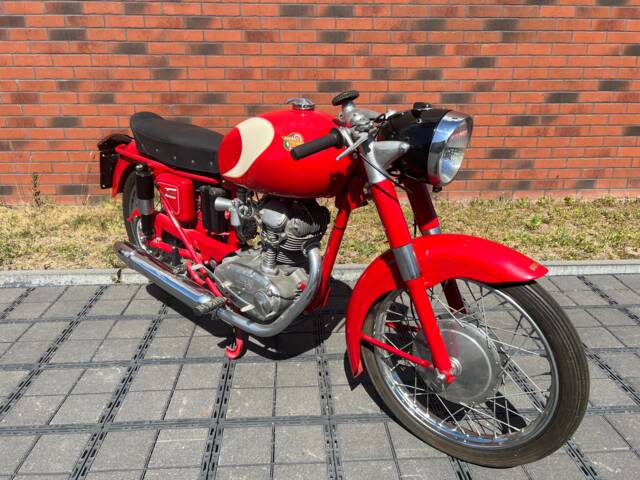 Bild 1/18 von Ducati DUMMY (1957)