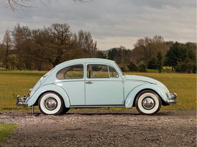 Christus Coöperatie vanavond Volkswagen Beetle Classic Cars for Sale - Classic Trader