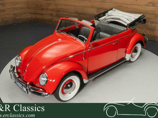 Image 1/19 de Volkswagen Coccinelle 1200 (1962)