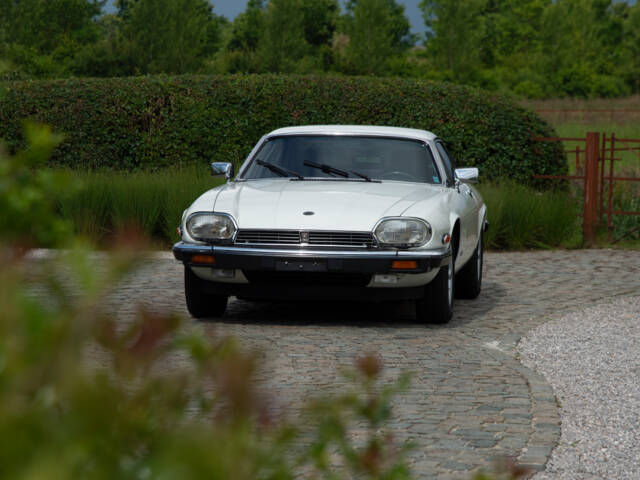 Jaguar XJS 5.3 V12