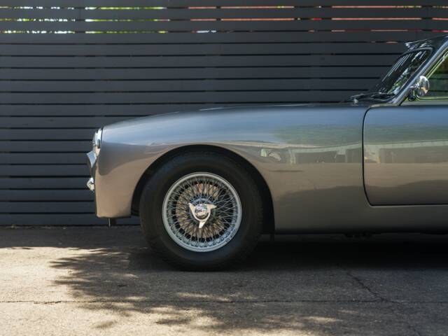AC Greyhound