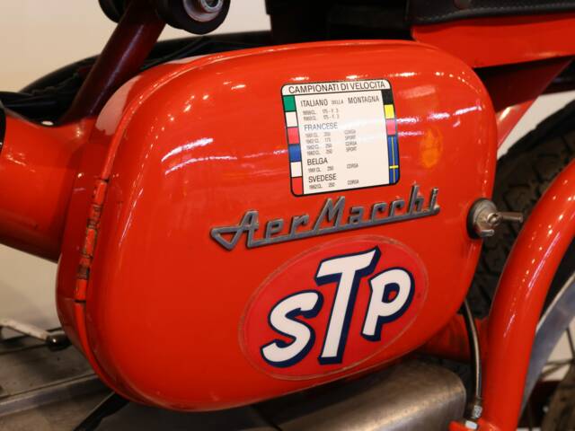 Aermacchi Ala Verde
