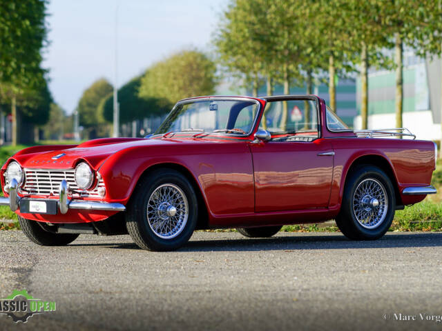 Bild 1/42 von Triumph TR 4 (1962)