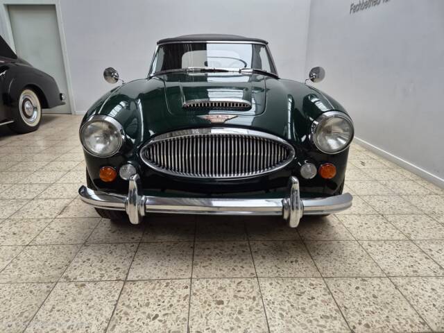 Austin-Healey 3000 Mk III (BJ8)