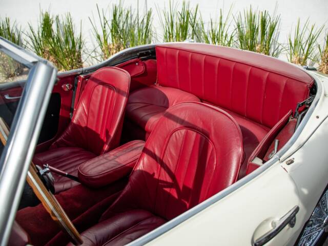 Austin-Healey 100/6 (BN4)