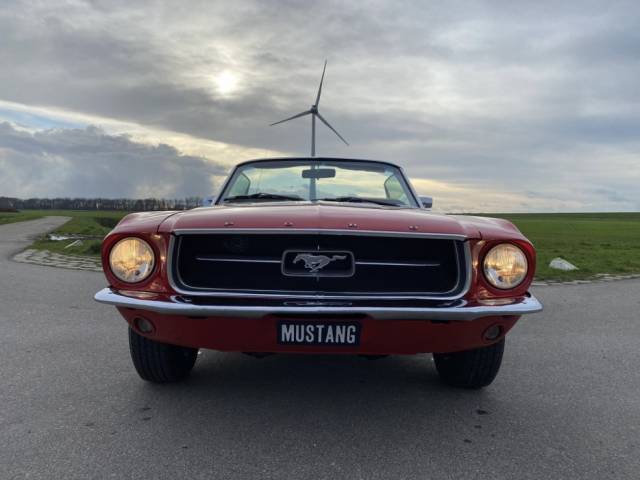 Ford Mustang Classic Cars For Sale - Classic Trader