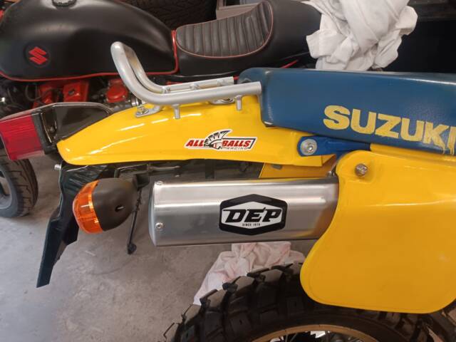 Suzuki TS 250X