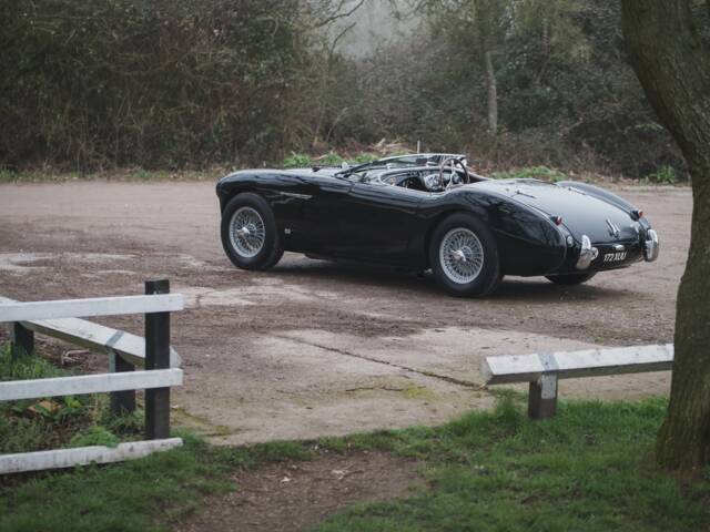 Austin-Healey 100/4 (BN2)