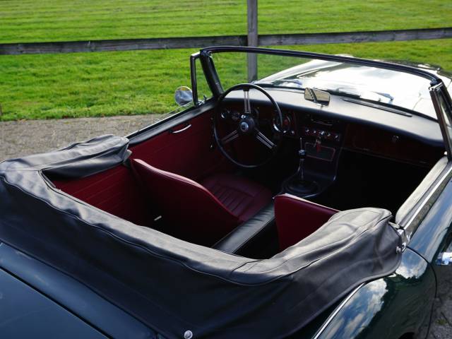 Austin-Healey 3000 Mk III (BJ8)