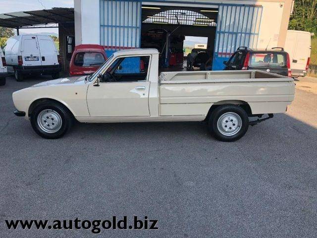 Bild 1/10 von Peugeot 504 Pick-up (1987)