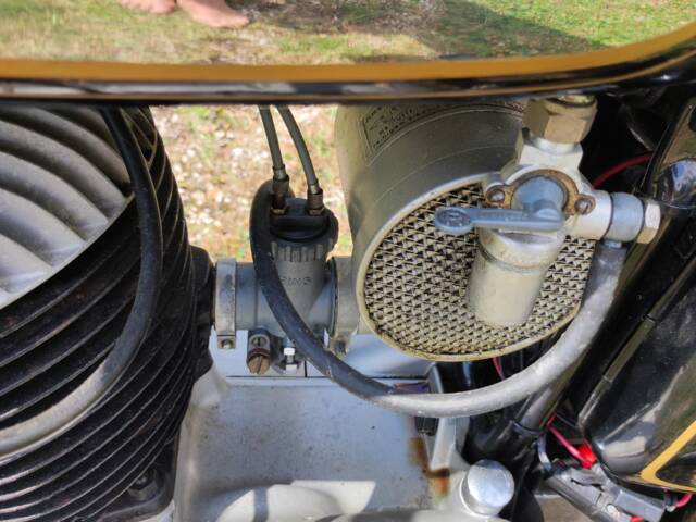 Triumph (TWN) BDG 250 H