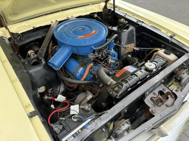 Ford Mustang 289