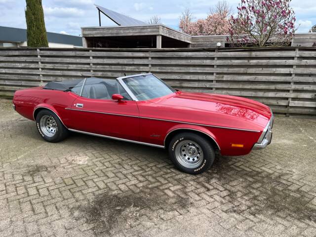 Ford Mustang 250