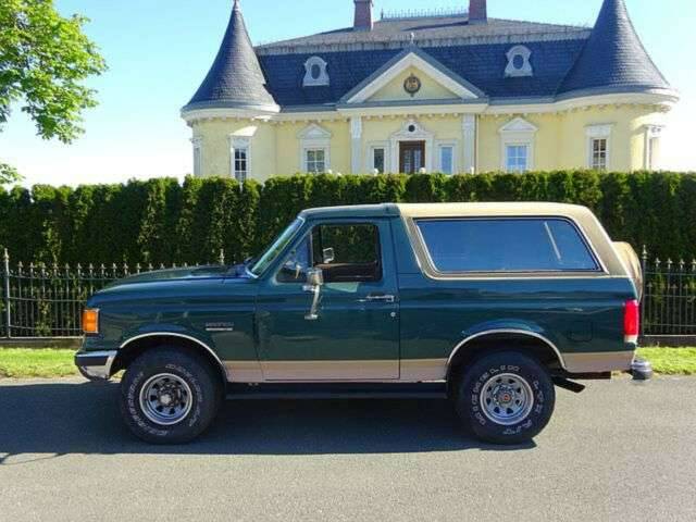 Immagine 1/15 di Ford Bronco (1989)