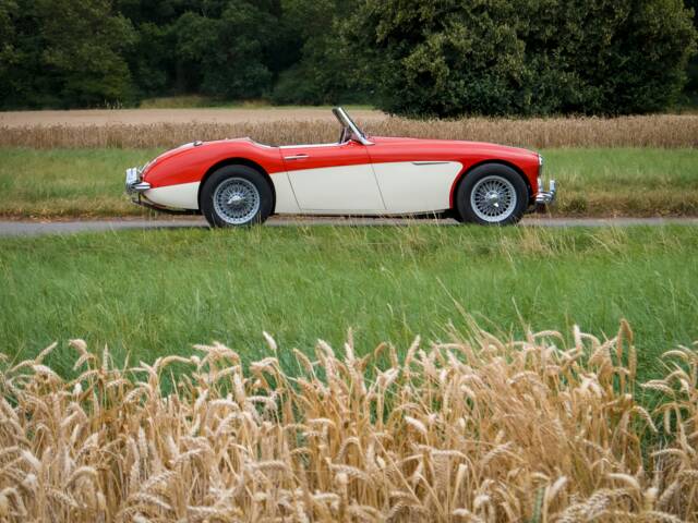 Austin-Healey 3000 Mk I (BN7)
