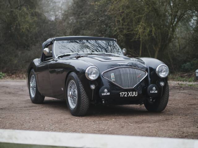 Austin-Healey 100/4 (BN2)