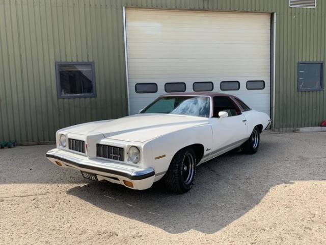 Immagine 1/5 di Pontiac Le Mans (1973)