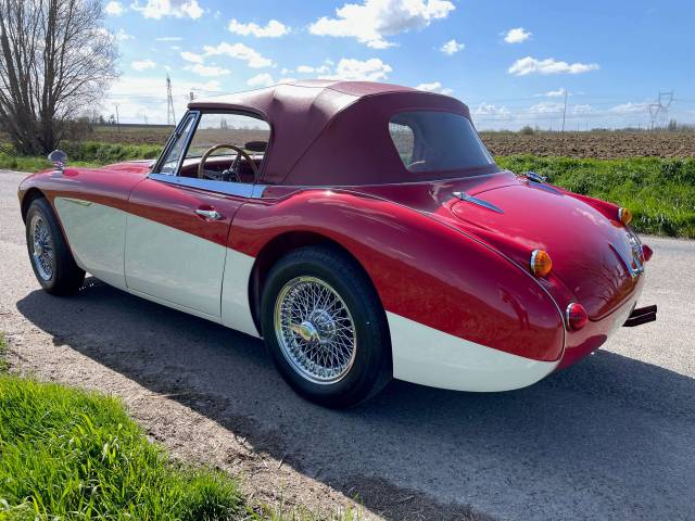 Austin-Healey 3000 Mk III (BJ8)