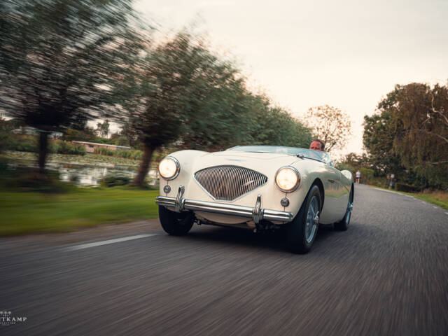 Image 1/19 de Austin-Healey 100&#x2F;4 (BN1) (1954)