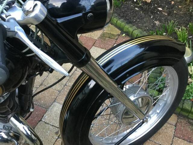 Triumph (TWN) BDG 250 H