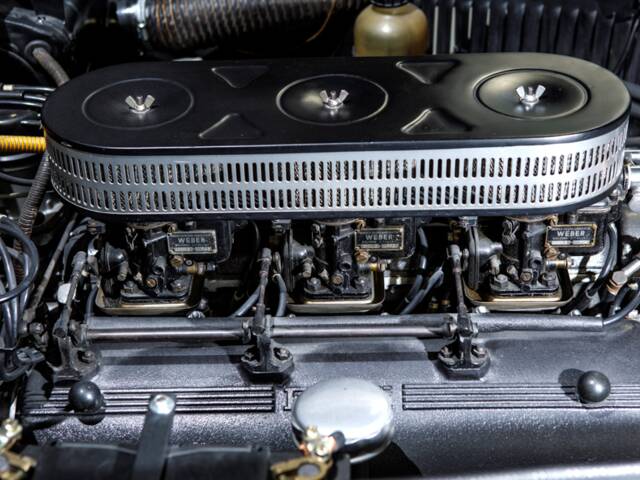 Ferrari 250 GT Ellena