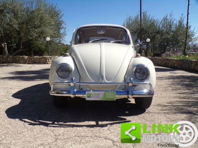 Image 1/10 de Volkswagen Coccinelle 1300 (1968)