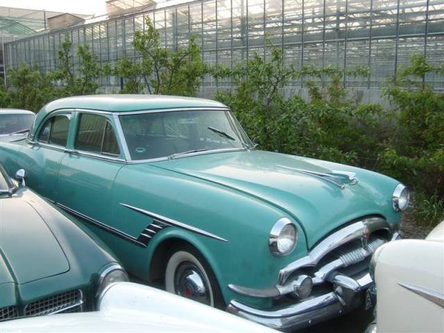 Bild 1/25 von Packard Cavalier (1953)