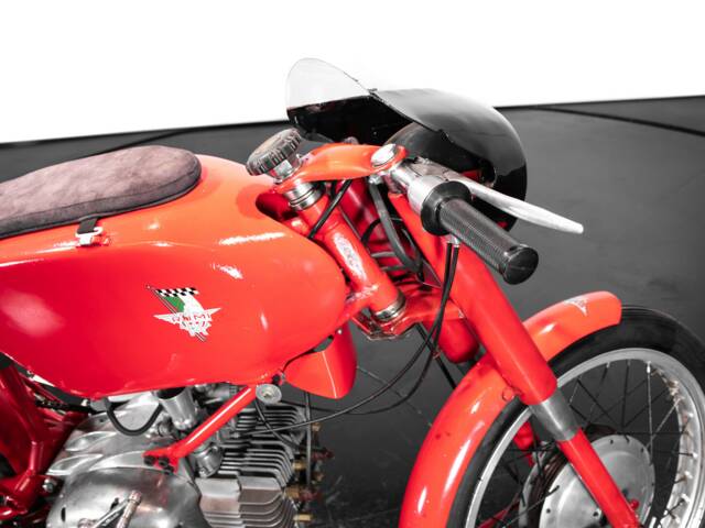 Rumi Junior Gentleman 125