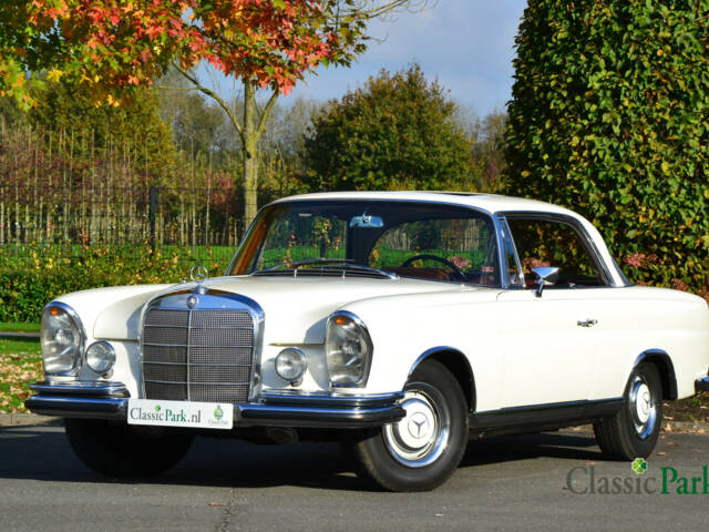 Bild 1/50 von Mercedes-Benz 250 SE (1966)