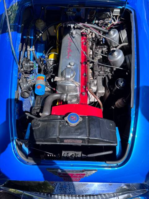 Austin-Healey 3000 Mk III (BJ8)