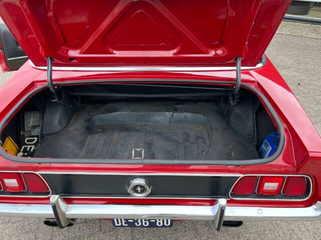 Ford Mustang 250