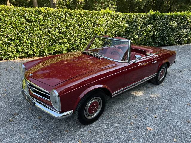 Imagen 1/21 de Mercedes-Benz 280 SL (1971)