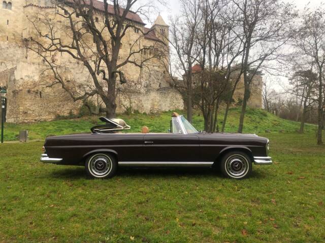 Bild 1/45 von Mercedes-Benz 280 SE (1969)