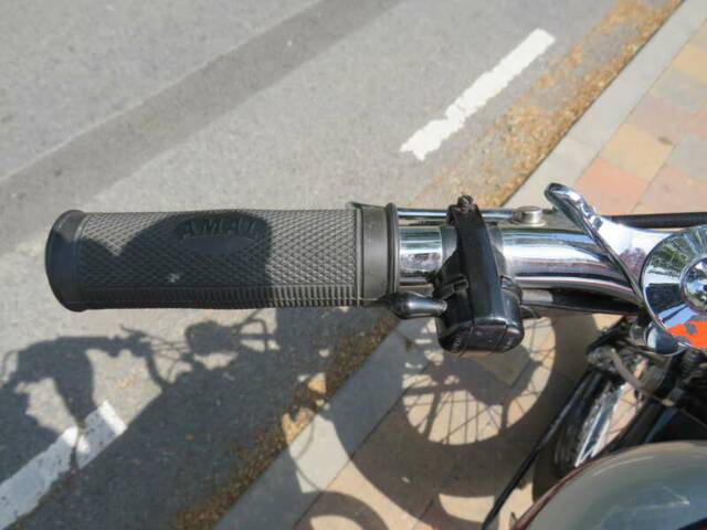 Montgomery Greyhound