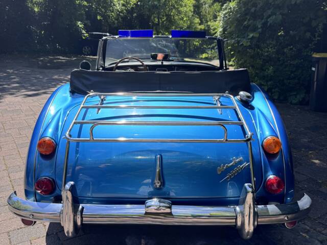 Austin-Healey 3000 Mk III (BJ8)