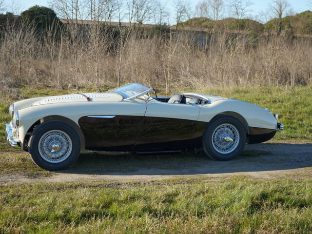 Austin-Healey 100/4 (BN2)