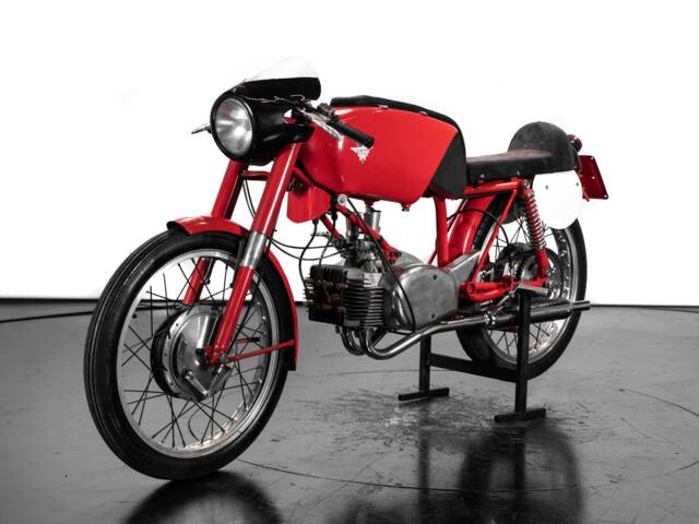 Rumi Junior Gentleman 125