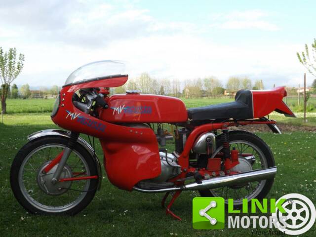 Bild 1/10 von MV Agusta DUMMY (1972)