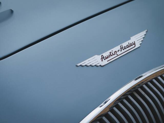 Austin-Healey 100/4 (BN1)