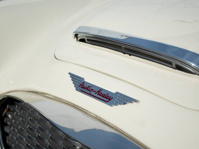 Austin-Healey 100/6 (BN4)