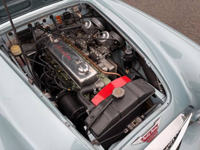 Austin-Healey 3000 Mk III (BJ8)