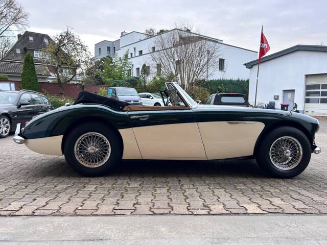 Austin-Healey 3000 Mk II (BJ7)