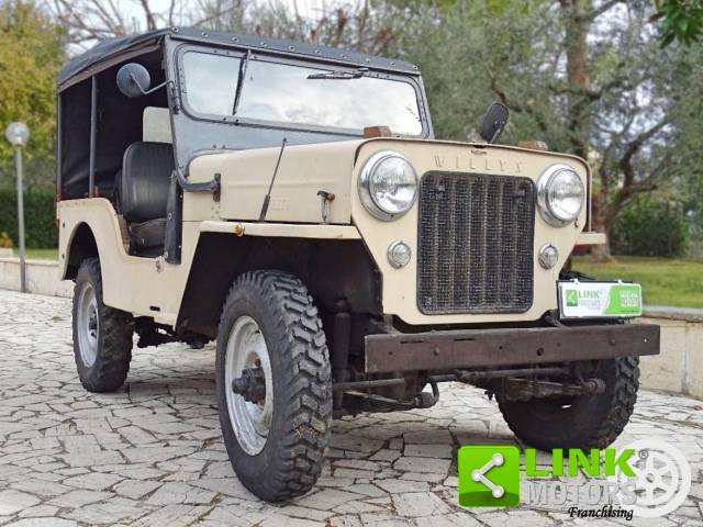 Immagine 1/24 di Kaiser Jeep CJ-3B (1984)